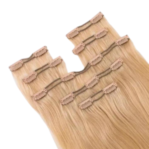 CLIP INS